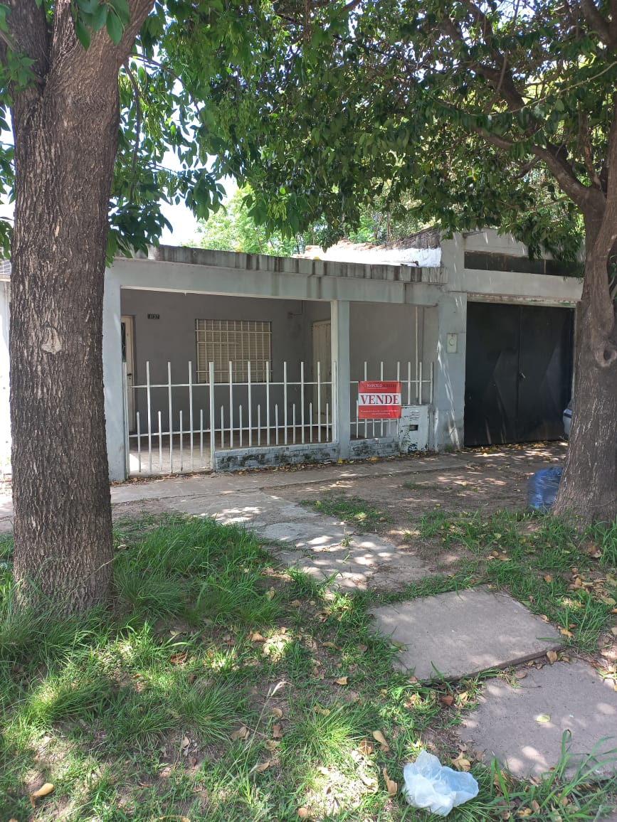 WhatsApp Image 2025-11-21 at 11.01.33